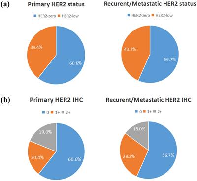 Clinicopathological characteristics, evolution, and treatment outcomes of hormone receptor-negative/HER2-low metastatic breast cancer: a pooled analysis of individual patient data from three prospective clinical trials